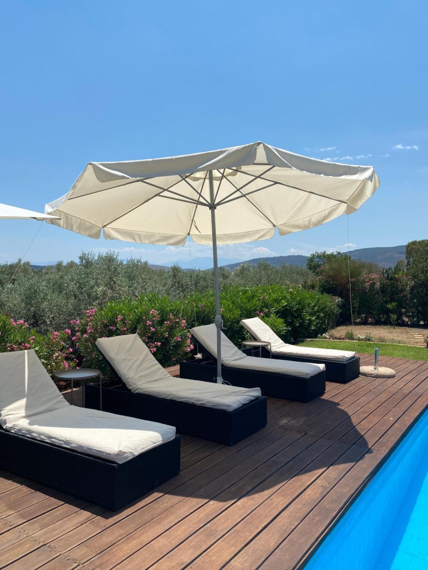 Georges Villa Galaxidi, Family, Pool And Garden Buitenkant foto