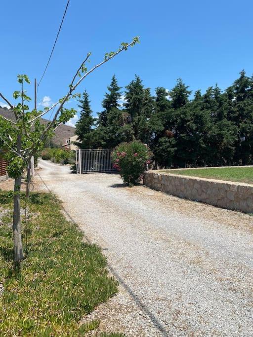 Georges Villa Galaxidi, Family, Pool And Garden Buitenkant foto