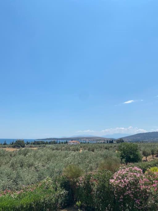 Georges Villa Galaxidi, Family, Pool And Garden Buitenkant foto