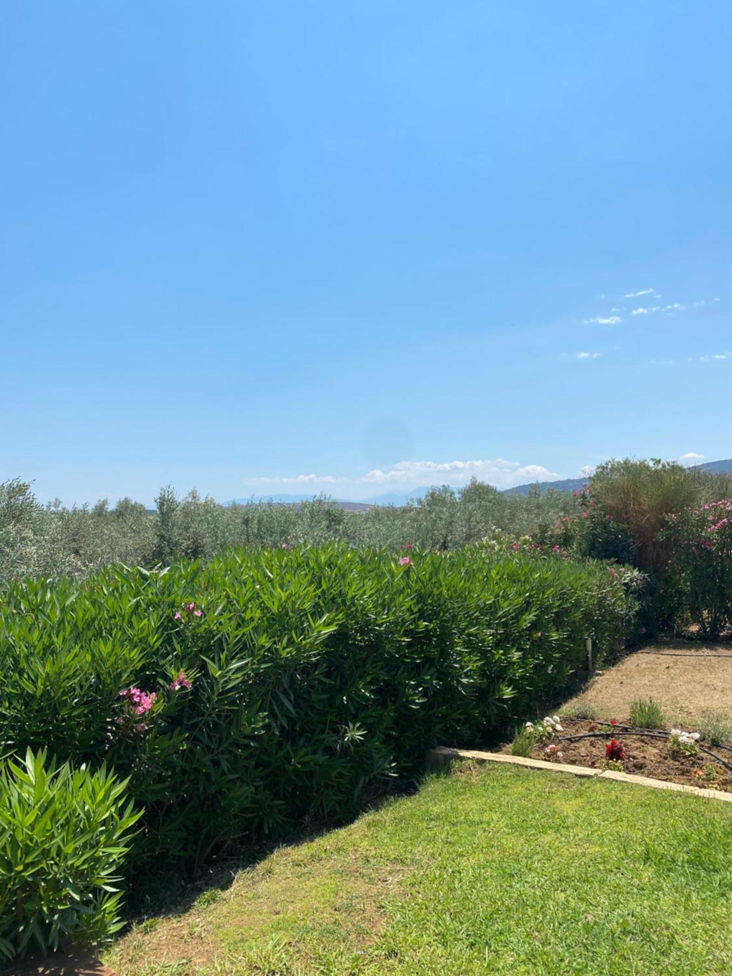 Georges Villa Galaxidi, Family, Pool And Garden Buitenkant foto