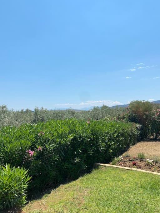 Georges Villa Galaxidi, Family, Pool And Garden Buitenkant foto